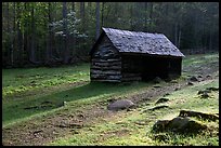 Jim Bales log Cabin in meadow, early morning, Tennessee. Great Smoky Mountains National Park, USA.