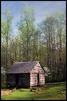 Historic log Cabin, Roaring Fork, Tennessee. Great Smoky Mountains National Park ( color)