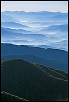 Hazy Ridges seen from Clingmans Dome, North Carolina. Great Smoky Mountains National Park, USA. (color)