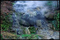 Thermal spring water flowing over tufa terrace. Hot Springs National Park ( color)