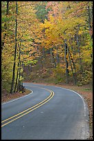 Road curve and fall colors on West Mountain. Hot Springs National Park, Arkansas, USA. (color)