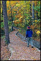 Hiker on trail amongst fall colors, Hot Spring Mountain. Hot Springs National Park, Arkansas, USA. (color)