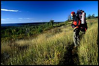 Backpacker pausing on Greenstone ridge trail. Isle Royale National Park, Michigan, USA.