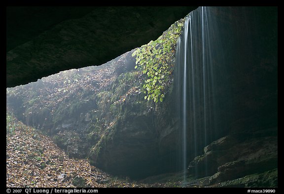 Rain-fed waterfall seen from inside cave. Mammoth Cave National Park (color)
