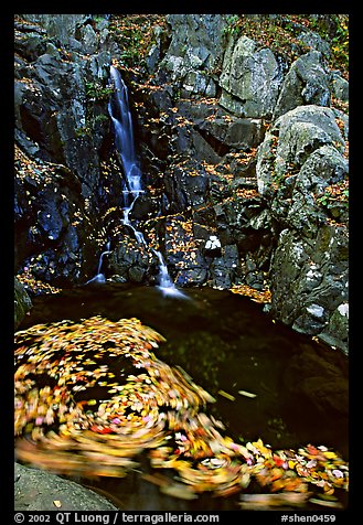 Spining leaves and cascade. Shenandoah National Park (color)