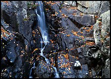 Cascade and fallen leaves. Shenandoah National Park ( color)