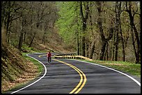 Bicyclist on Skyline drive. Shenandoah National Park, Virginia, USA. (color)