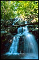 Dark Hollow Falls. Shenandoah National Park, Virginia, USA. (color)
