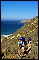 Backpackers in Nidever canyon , San Miguel Island. Channel Islands National Park, California, USA. (color)