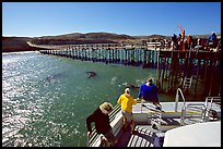 Bechers bay pier, Santa Rosa Island. Channel Islands National Park, California, USA.