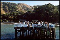 Pier at Prisoners Harbor, Santa Cruz Island. Channel Islands National Park, California, USA.