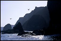 Steep cliffs, East Anacapa. Channel Islands National Park, California, USA. (color)