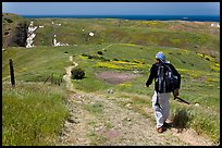 Hiker on trail in the spring, Santa Cruz Island. Channel Islands National Park, California, USA. (color)