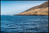 Sea lions and Santa Barbara Island. Channel Islands National Park, California, USA.