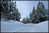 Snow-covered road. Crater Lake National Park, Oregon, USA. (color)