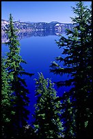 Trees and Lake. Crater Lake National Park, Oregon, USA. (color)