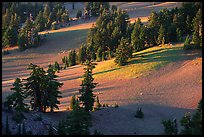 Volcanic hills and pine trees. Crater Lake National Park, Oregon, USA. (color)