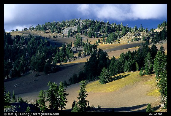 Volcanic hills and pine trees. Crater Lake National Park, Oregon, USA.