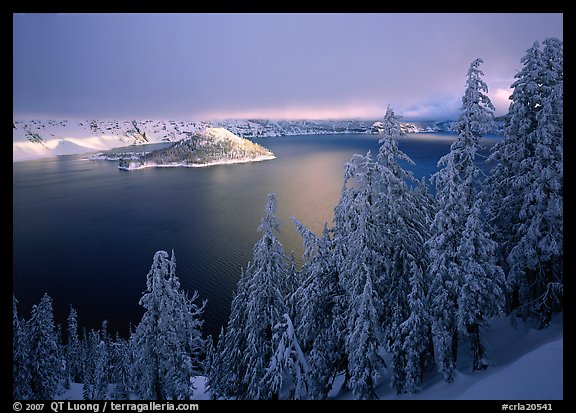 Conifers, Lake and Wizard Island, winter sunrise. Crater Lake National Park (color)