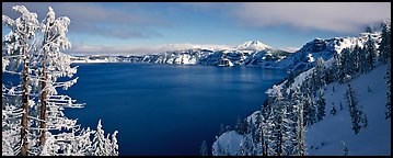 Lake and snow-covered trees. Crater Lake National Park, Oregon, USA.