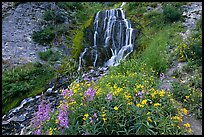 Vidae Falls and stream. Crater Lake National Park, Oregon, USA. (color)