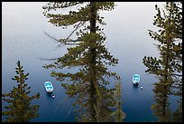 Tour boats seen between trees, Cleetwood Cove. Crater Lake National Park ( color)