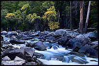 South Fork of  Kings River in autumn. Giant Sequoia National Monument, Sequoia National Forest, California, USA ( color)