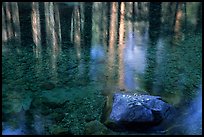 Reflections in Cedar Grove. Kings Canyon National Park, California, USA.