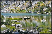 Lake and tree reflections, Lower Dusy Basin. Kings Canyon National Park, California, USA. (color)