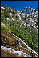 Waterfall, wildflowers and mountains, Le Conte Canyon. Kings Canyon National Park, California, USA.