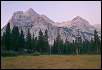 Langille Peak from Big Pete Meadow at dawn, Le Conte Canyon. Kings Canyon National Park, California, USA.