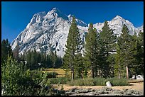 Langille Peak and pine trees, Big Pete Meadow, Le Conte Canyon. Kings Canyon National Park, California, USA.