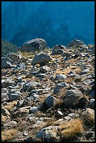 Boulders in meadow and Le Conte Canyon walls. Kings Canyon National Park, California, USA. (color)