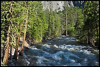 Roaring River in the spring. Kings Canyon National Park, California, USA.