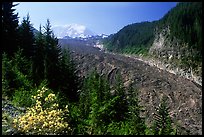 Mt Rainier above debris-covered Carbon Glacier. Mount Rainier National Park, Washington, USA.