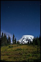 Mount Rainier and stars by night. Mount Rainier National Park, Washington, USA. (color)
