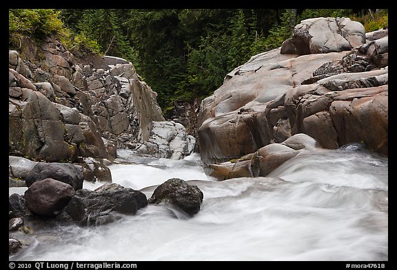 Water flowing down gorge. Mount Rainier National Park (color)