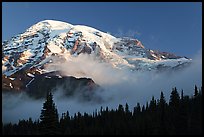 pictures of Mount Rainier National Park