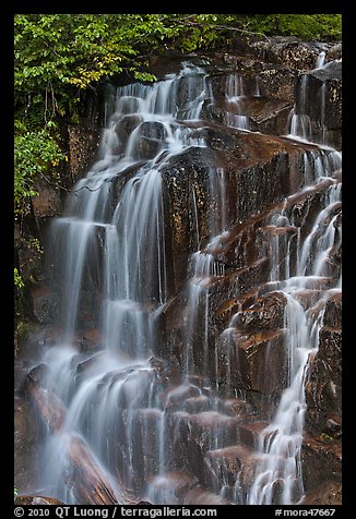 Water cascading over columns of volcanic rock. Mount Rainier National Park, Washington, USA.