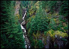 Gorge Creek falls in summer, North Cascades National Park Service Complex.  ( color)