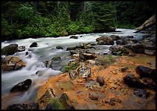 Creek near Kennedy hot springs, Glacier Peak Wilderness, Mt. Baker/Snoqualmie National forest. Washington