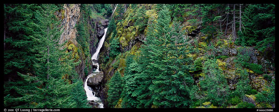 Waterfall in gorge surrounded by forest, North Cascades National Park Service Complex. Washington, USA.