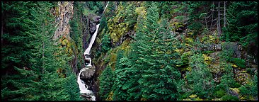 Waterfall in gorge surrounded by forest. North Cascades National Park (Panoramic color)