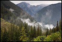 North Fork of the Cascade River Valley, North Cascades National Park.  ( color)