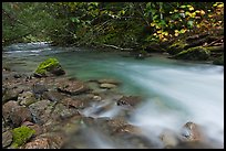Smooth flow of North Fork of the Cascade River in the fall, North Cascades National Park. Washington, USA.