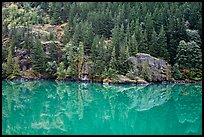 Forest reflected in turquoise waters, Gorge Lake, North Cascades National Park Service Complex. Washington, USA.