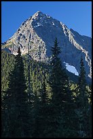 Greybeard Peak rising above forest, North Cascades National Park.  ( color)