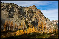 Alpine larch in autumn and rocky peak above Easy Pass, North Cascades National Park. Washington, USA.