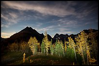Larch trees and mountains from Easy Pass at night, North Cascades National Park. Washington, USA.