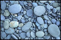 Round pebbles on beach. Olympic National Park, Washington, USA. (color)